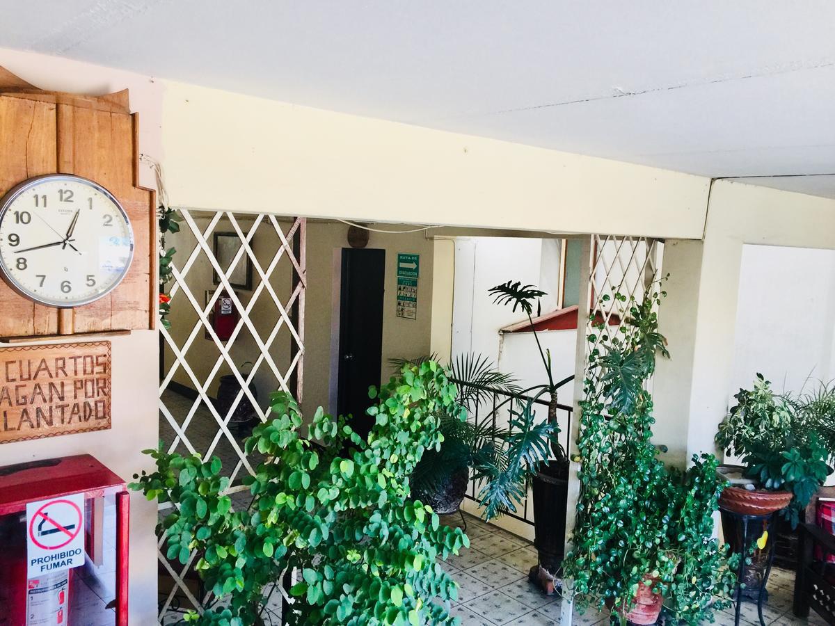 Hotel Emil Tequila Extérieur photo